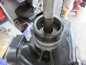 IMG_9061.JPG