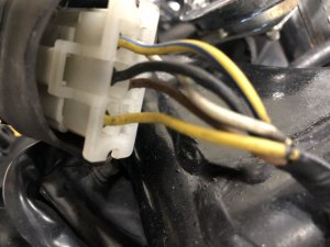 E0AA8612-40C0-4463-AF86-BBB926D17925.jpeg