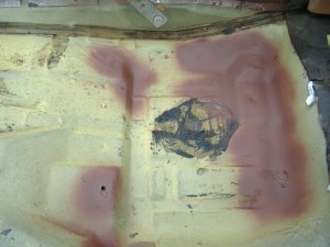 DSCF1561.JPG
