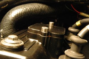 DSC_3077.jpg
