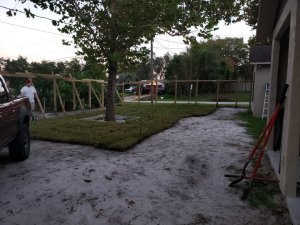20221025_184742[1].jpg