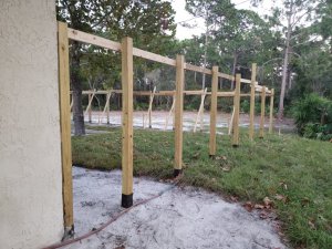 20221025_184954[1].jpg