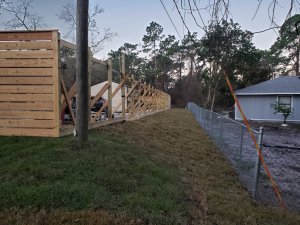 20230226_065607[1].jpg