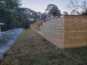 20230226_065433[1].jpg
