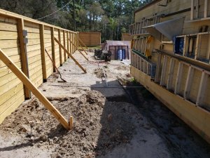 20230310_110124[1].jpg