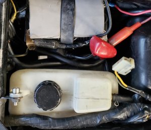 20230422_070932[1].jpg