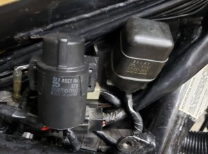 20230428_170233[1].jpg