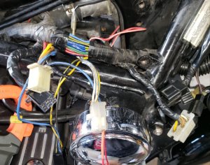 20230430_192543[1].jpg