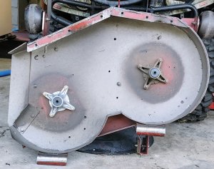 20250502_081216~2[1].jpg