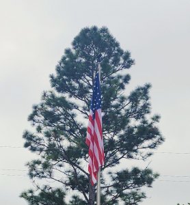 20251123_100631~2[1].jpg