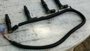 Final Harness.jpg