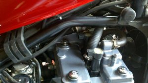 2012-05-06_10-55-16_343.jpg