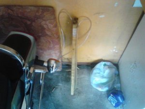 IMG_20121006_155228.jpg