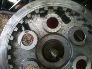 photo (2).jpg