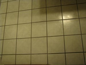 IMG_1929.jpg