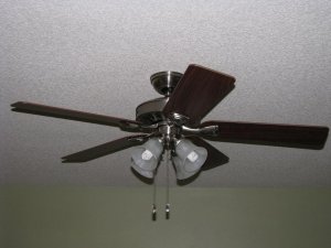 IMG_2021.jpg