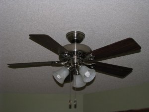 IMG_2023.jpg