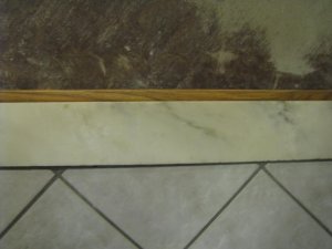 IMG_2028.jpg