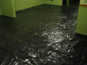 IMG_2031.jpg