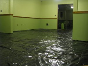IMG_2034.jpg