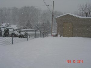 2-13-14 snow.jpg