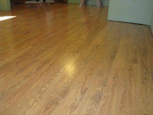 IMG_2048.jpg