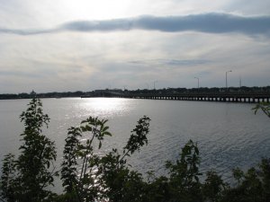IMG_2287.jpg
