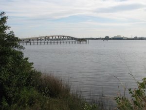 IMG_2286.jpg