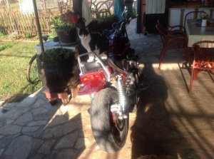photo3 (Small).jpg