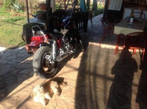 photo1 (Small).jpg
