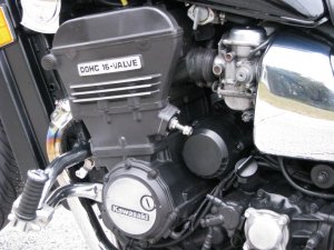 IMG_0054.jpg