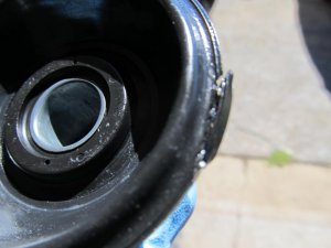 IMG_1241.jpg