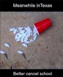 Cancel School.jpg