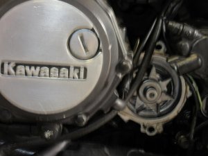 IMG_0088.jpg