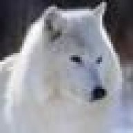 Whitewolf