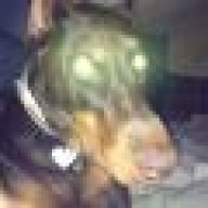 reddobie0